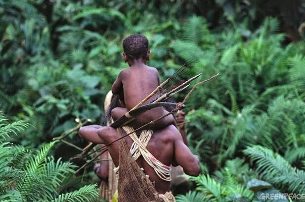 Papua